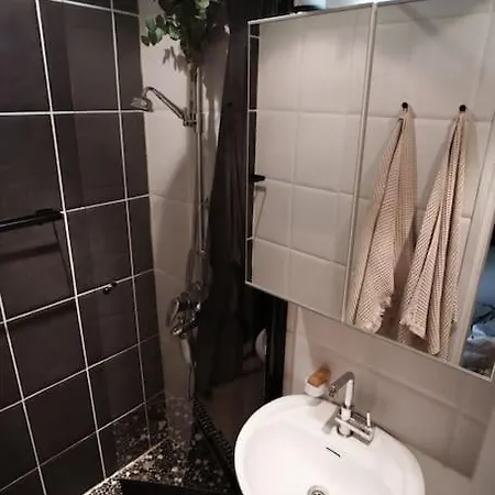 Kaunis Ja Valoisa Koti Laehellae Aurajokirantaa Åbo